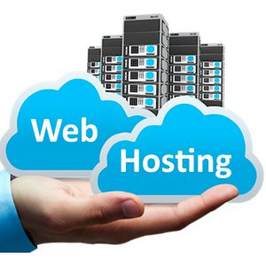 What is web hosting