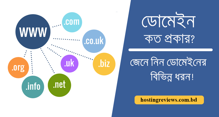 What is different type of domain?